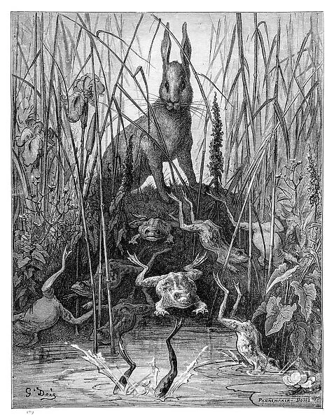 The Hare and the Frogs