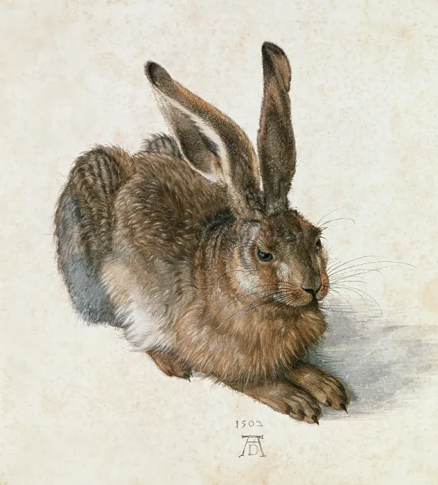 Framed Print : Hase. GERMANY - CIRCA 1500: Hare - Hase. Watercolour