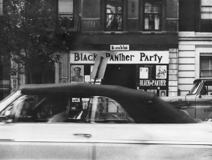 Framed Print : Harlem Panther HQ Framed Print : Harlem Panther HQ