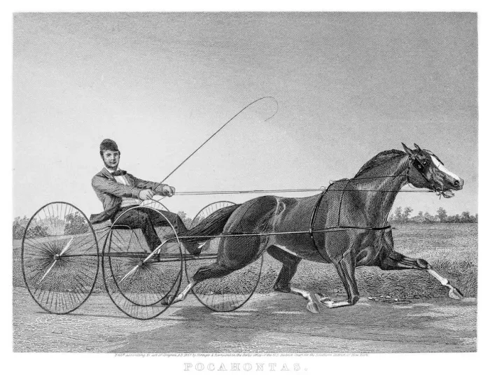 Framed Print : Harness racing horse engraving 1857 Framed Print : Harness racing horse engraving 1857