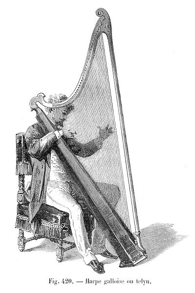 Harp engraving 1885