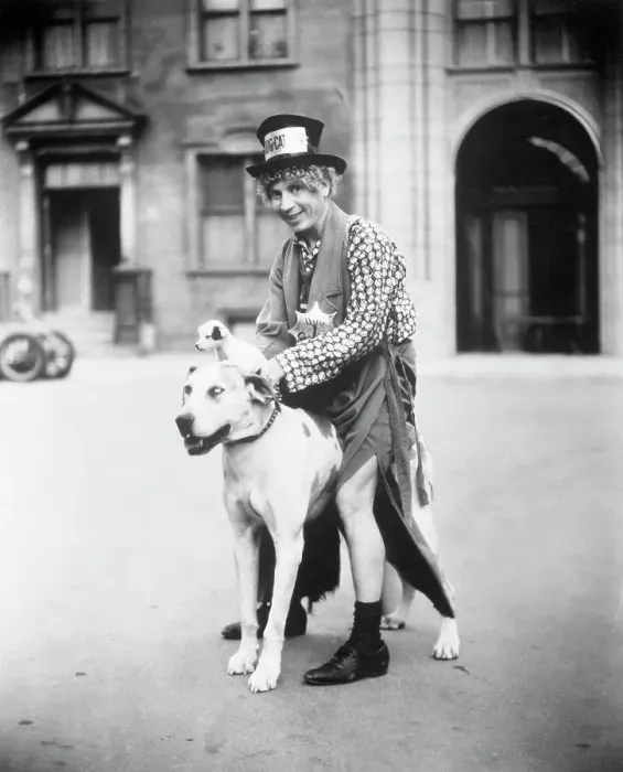Framed Print : Harpo Marx Rehearsing with Dog Framed Print : Harpo Marx Rehearsing with Dog