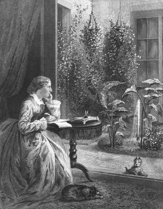 Framed Print : Harriet Beecher Stowe Writing at Home Framed Print : Harriet Beecher Stowe Writing at Home
