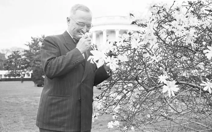 Framed Print : Harry Truman Smelling Magnolia Blossom
