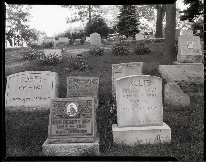 Framed Print : Hartsdale Canine Cemetery Framed Print : Hartsdale Canine Cemetery