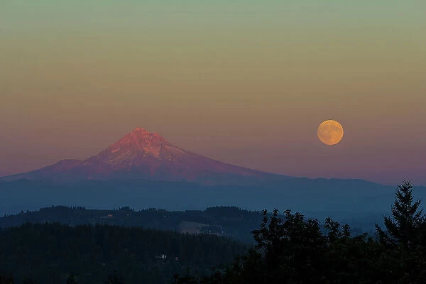 Harvest Moon over Mount Hood, Oregon