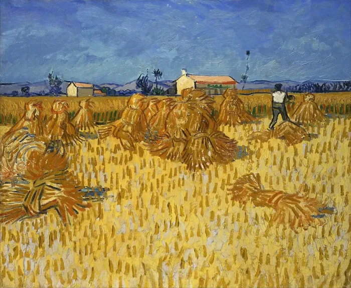 Framed Print : Harvest In Provence Framed Print : Harvest In Provence