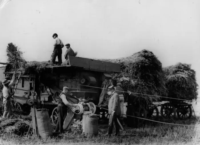 Framed Print : Harvest Threshing Framed Print : Harvest Threshing
