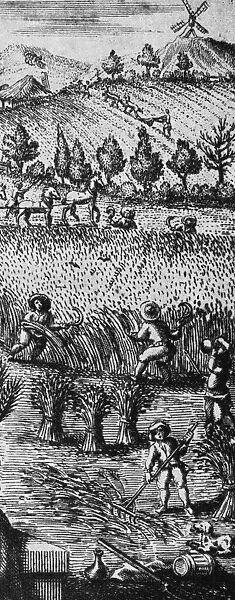 Harvest Time. Farm workers harvesting the crop, 1727