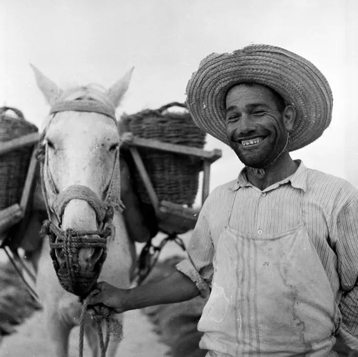 Framed Print : Harvest Worker Framed Print : Harvest Worker