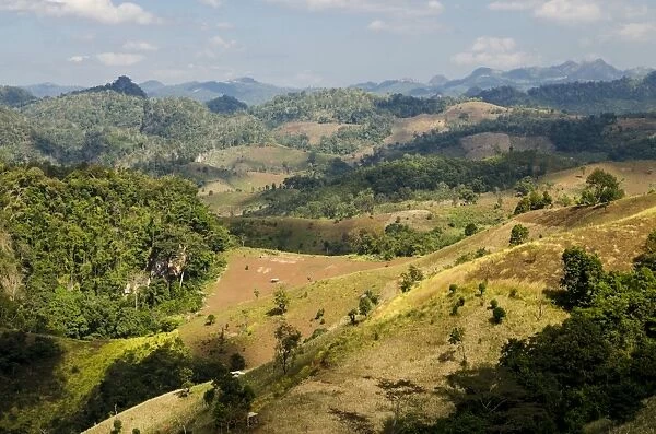 Harvested fields, mountains, province of Mae Hong Song, Northern Thailand, Thailand