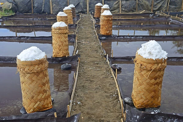 Harvested sea salt, packed to dry, known as Fleur de Sel, North Bali, Bali, Indonesia
