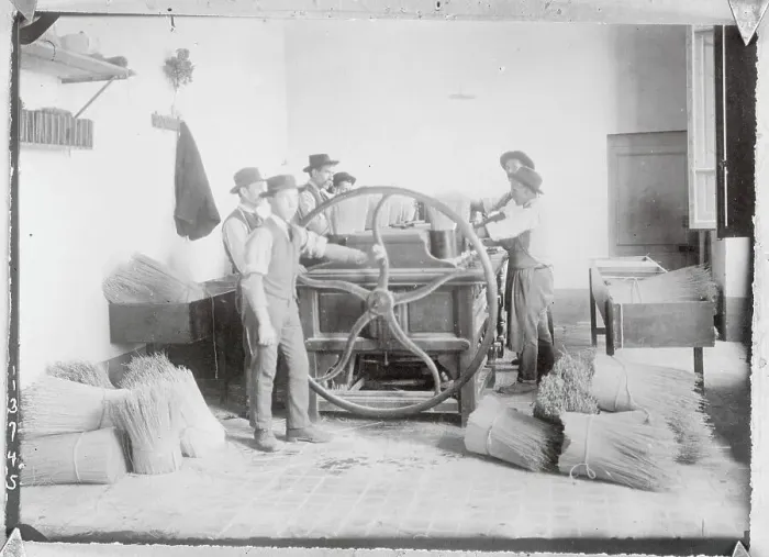 Framed Print : Hat Makers Operating Machinery to Process Straw Framed Print : Hat Makers Operating Machinery to Process Straw