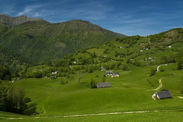 Haute valee de l Ouzoum, national park of Pyrenees, Hautes Pyrenees, France