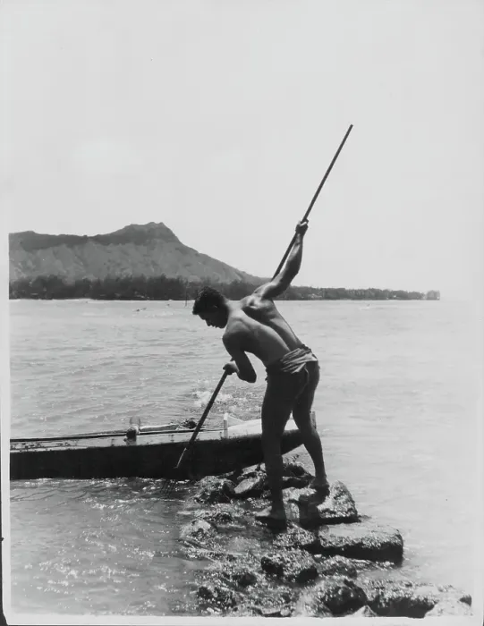 Framed Print : Hawaii. Traditional fishing methods in Hawaii, circa 1920-1950 Framed Print : Hawaii. Traditional fishing methods in Hawaii, circa 1920-1950