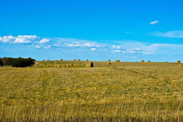 Hay bales in field, Nebraska Panhandle, Nebraska, USA