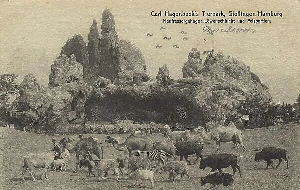 Hay feeder enclosure and lion gorge in Hagenbeck Zoo, Hamburg, Germany, postcard with text, view circa 1910, Historic, digital reproduction of a historic postcard, public domain, from that time, exact date unknown