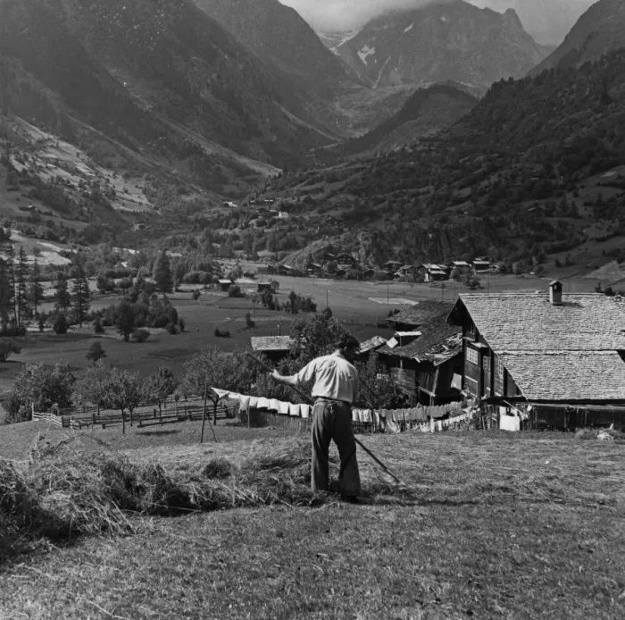Framed Print : Hay Harvesting In Switzerland