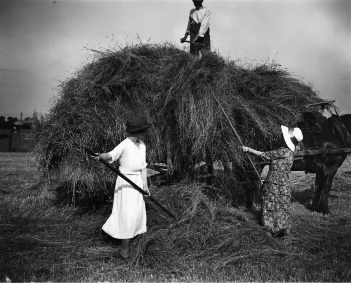 Framed Print : Hay Making Framed Print : Hay Making