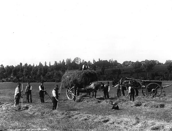 Haymaking. 1893: Haymaking scene with a cart laden with hay