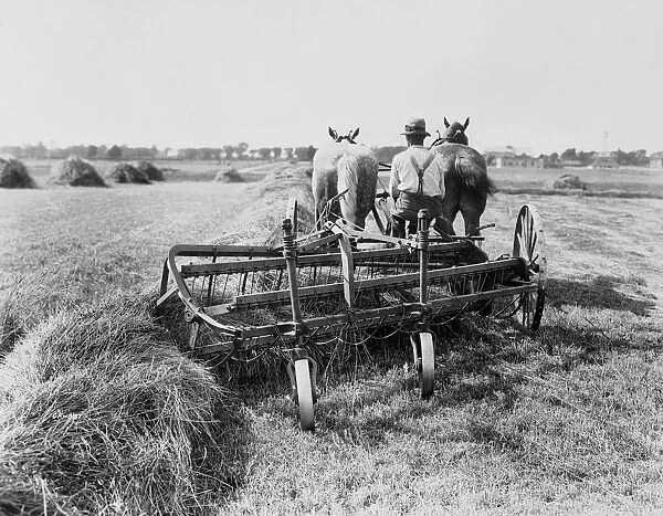 Haymaking In Canada