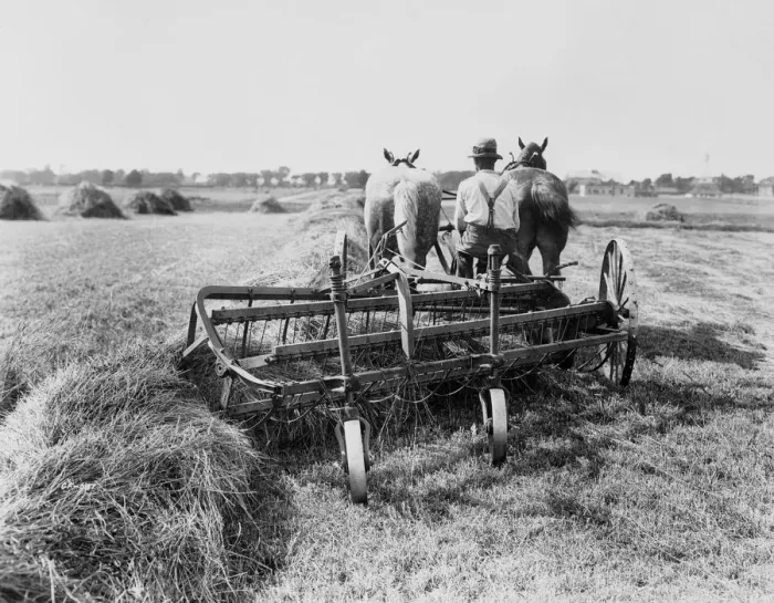 Framed Print : Haymaking In Canada Framed Print : Haymaking In Canada