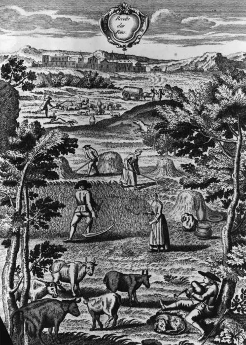 Framed Print : Haymaking Time Framed Print : Haymaking Time
