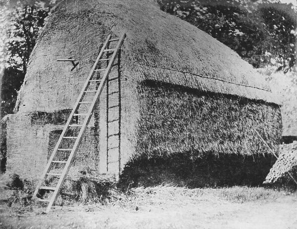 Haystack. 1844: A haystack, the ladder leaning up against it leaves a clear shadow