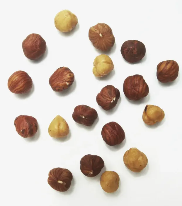 Framed Print : Hazelnuts Framed Print : Hazelnuts