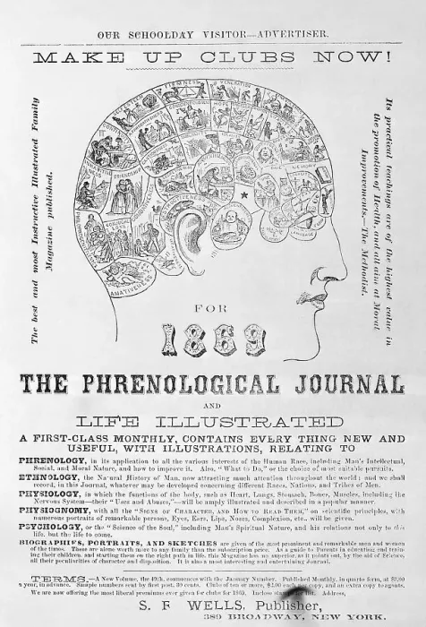 Framed Print : Head From 1869 Phrenological Journal Framed Print : Head From 1869 Phrenological Journal