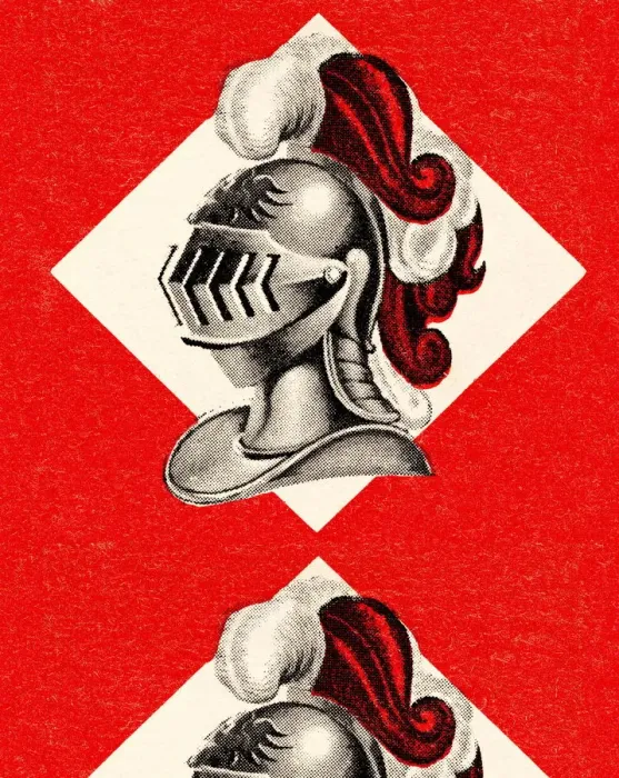 Framed Print : Head of Armor Framed Print : Head of Armor