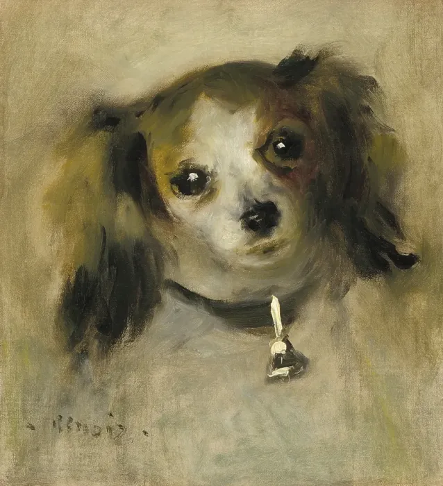 Framed Print : Head Of A Dog Framed Print : Head Of A Dog
