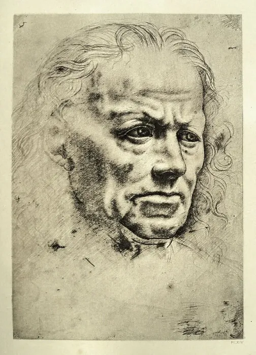 Framed Print : Head of an old man by Leonardo da Vinci, Early renaissance art Framed Print : Head of an old man by Leonardo da Vinci, Early renaissance art