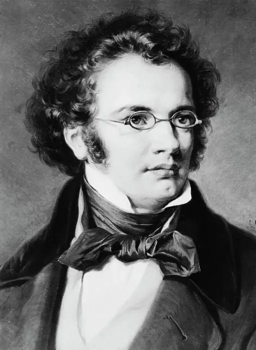 Framed Print : Head / Shoulders Portrait Franz Schubert Framed Print : Head / Shoulders Portrait Franz Schubert