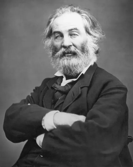 Framed Print : Headshoulders Photo Of Walt Whitman Framed Print : Headshoulders Photo Of Walt Whitman