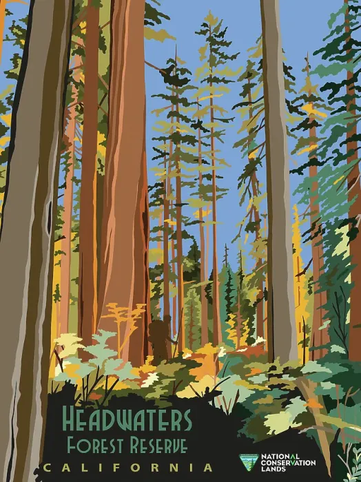 Framed Print : Headwaters Forest Reserve