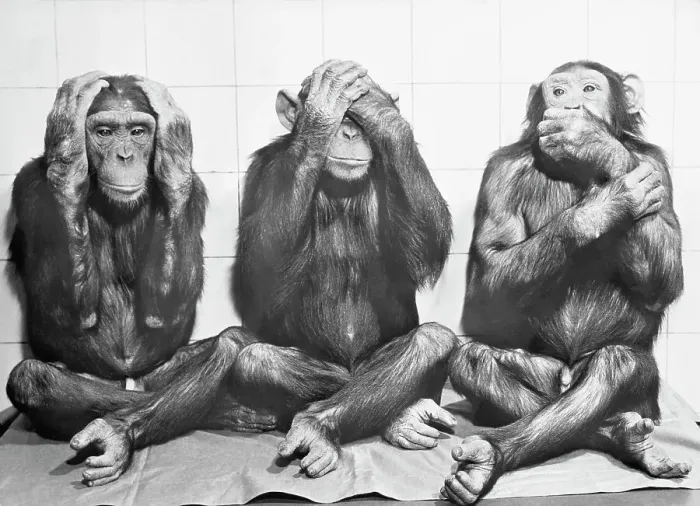 Framed Print : Hear No Evil, See No Evil, Speak No Evil Framed Print : Hear No Evil, See No Evil, Speak No Evil
