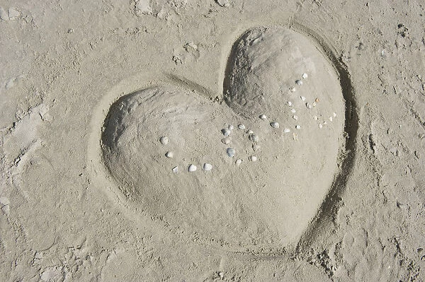 Heart made of sand with the word LOVE made of shells, St Peter-Ording, Schleswig-Holstein, Germany