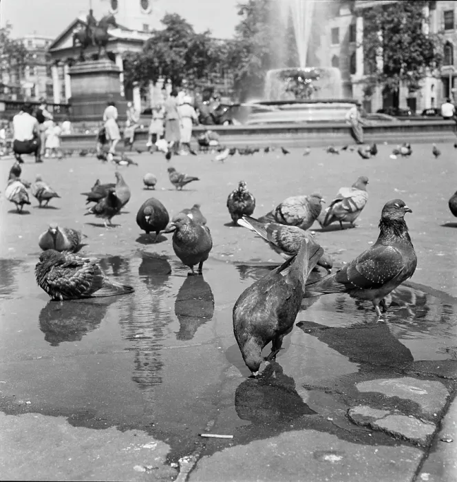 Framed Print : Heatwave, 1952 Framed Print : Heatwave, 1952