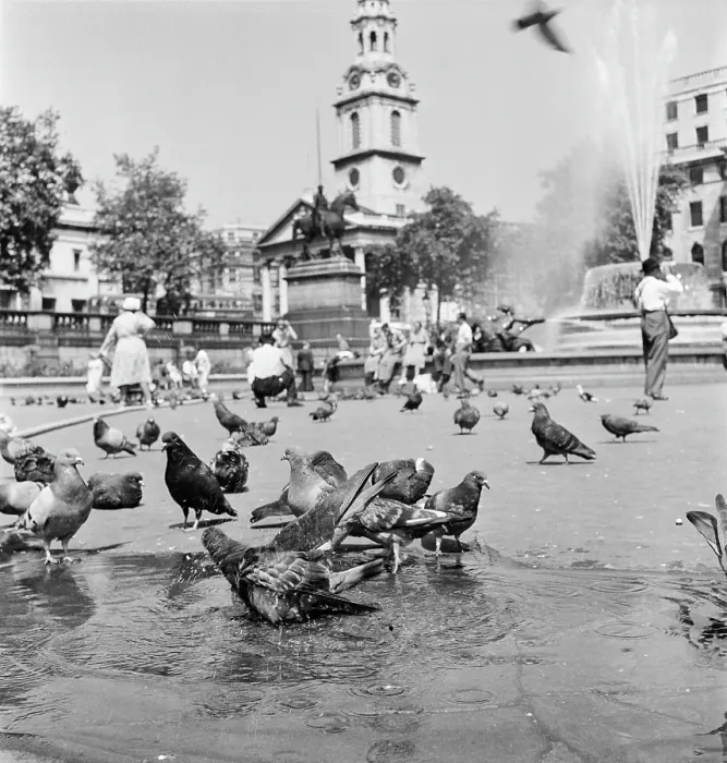 Framed Print : Heatwave, 1952 Framed Print : Heatwave, 1952
