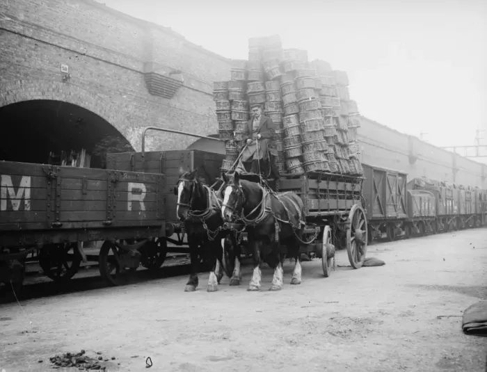 Framed Print : Top Heavy. 19th October 1918: A driver is perched high up above his horses Framed Print : Top Heavy. 19th October 1918: A driver is perched high up above his horses
