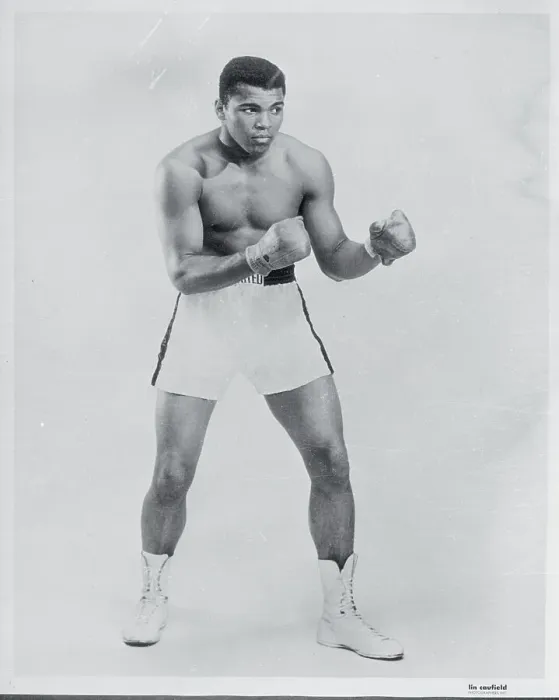Framed Print : Heavyweight Boxer Muhammad Ali Framed Print : Heavyweight Boxer Muhammad Ali