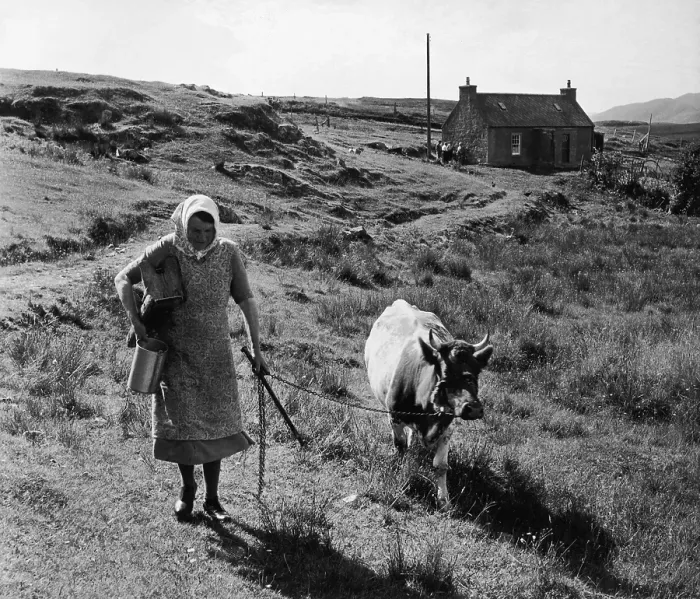 Framed Print : Hebridean Milkmaid Framed Print : Hebridean Milkmaid