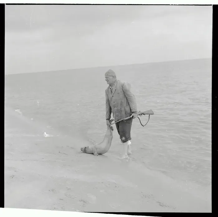 Framed Print : Heinrich von Holdt Holding a Seal He Shot Framed Print : Heinrich von Holdt Holding a Seal He Shot