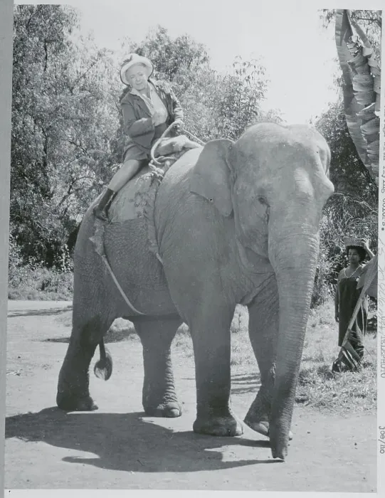 Framed Print : Helen Hayes Riding an Elephant Framed Print : Helen Hayes Riding an Elephant
