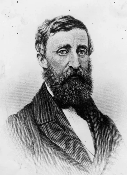 Framed Print : Henry Thoreau Framed Print : Henry Thoreau