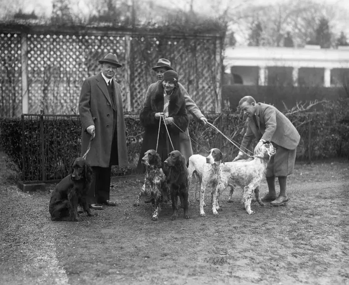 Framed Print : Herbert Hoover Holding Hunting Dog / Leash Framed Print : Herbert Hoover Holding Hunting Dog / Leash