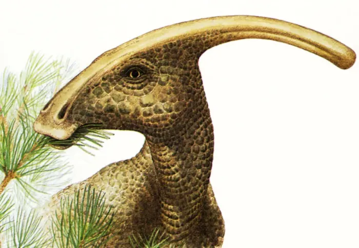 Framed Print : herbivore, cretaceous, nobody, close-up, cut out, horizontal, watercolour painting Framed Print : herbivore, cretaceous, nobody, close-up, cut out, horizontal, watercolour painting
