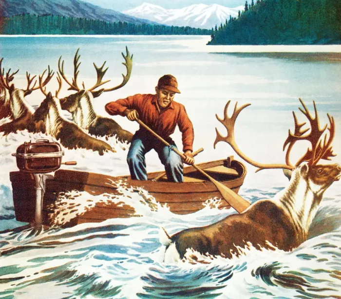 Framed Print : Herding Caribou Framed Print : Herding Caribou
