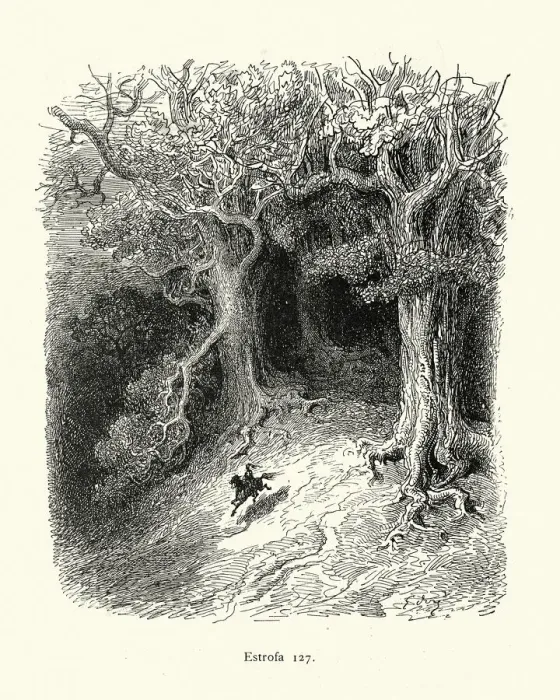 Framed Print : Hero knight leaving the dark wood, Fantasy